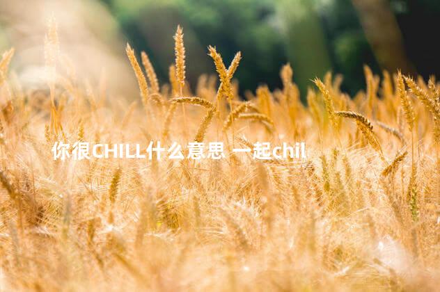 你很CHILL什么意思 一起chill什么意思